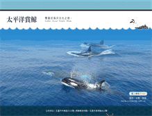 Tablet Screenshot of pacificwhale.com.tw